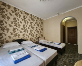 Стандартный номер для (Главный корпус) в Family club Atrium