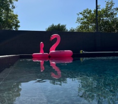 Шале Люкс в Белые ночи