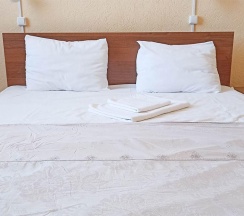 Номер стандарт с 1 двуспальной кроватью в Smart Hotel KDO Оренбург