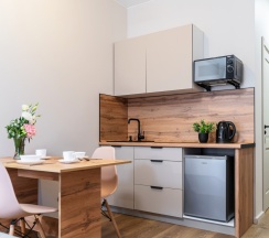 1-комнатные апартаменты студия Лиговский пр-т 48, лит З в Sv grand hotel