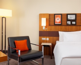 Стандарт в Cosmos Selection Moscow Sheremetyevo Airport Hotel