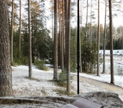 Семейный коттедж в Greenvald парк Скандинавия