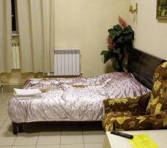 Номер улучшенный с 1 двуспальной кроватью в Носовихинский