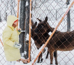Царский Дом в Басаргино