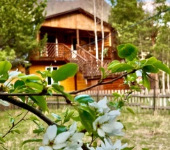 Стандарт  с балконом в Сельская усадьба