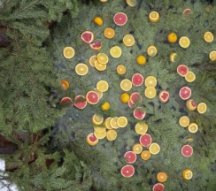 Aframe White | Банный чан на территории в Берёзовая роща