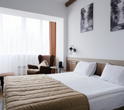 Стандарт 2-й этаж (201) в Увельские курорты