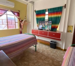 Двухместный номер Standard 2 отдельные кровати в Hostal Mixteco Naba Nandoo