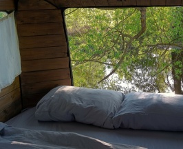Woody Yellow в Hippy Hotel