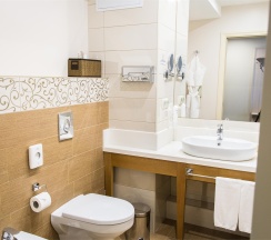 Бизнес одноместный в Kulibin Parkhotel&SPA 5*