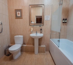 Двухместный полулюкс двуспальная кровать в Губернский