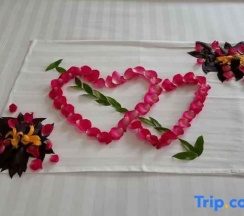 Номер Superior в Garden Hill Hotel