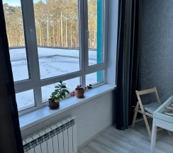 Двухместный номер Эконом в Royal Plaza