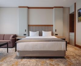 Номер улучшенный с 1 двуспальной кроватью в Источник