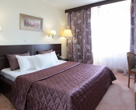 Дельта Первый класс (широкая кровать) в Абсалют-Тур