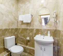 Одноместный в Александр Hotel