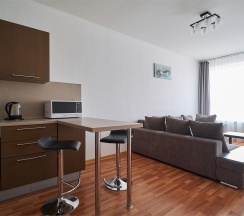 Business Suite 2 - комнатный 2 - местный в Огни Екатеринбурга by Огни Rent