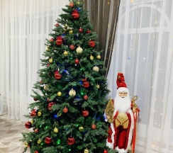 Коттедж премиум в Сибиряк