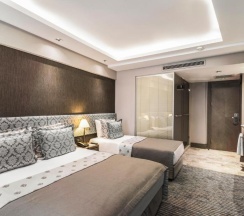 Трёхместный номер Standard в Grand Beyazit Hotel