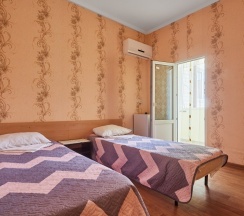 Двухместный номер Standard с балконом и с красивым видом из окна 2 отдельные кровати в Ореховый