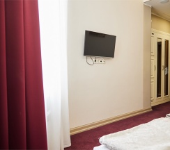 Standart "Simple" в The Bridge hotel