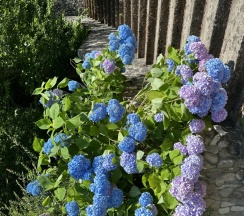 Апартамент 13 в Saltykov Agoy Resort