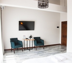 номер стандартный 205 в Панорама