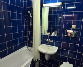 Двухместный номер Standard с балконом и с видом на море 2 отдельные кровати в Hotel Ambassador
