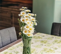 6-местное Шале Люкс в Альпийский home club