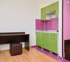 3-х местный без балкона в Диса