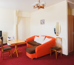 Стандарт двухместный ПЛЮС в Волга-Волга