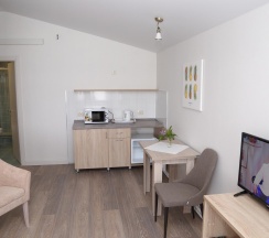 Двухместный Джуниор Сюит с кухонной зоной в Отель на Ваге