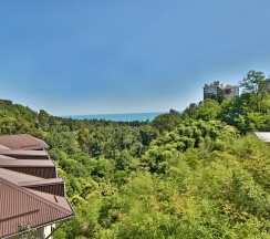 Номер стандарт, 22 м² в Delsochi