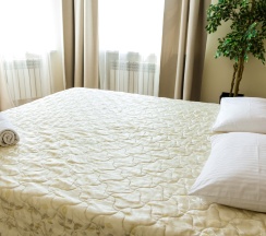 Люкс двухкомнатный с камином в Аристоль