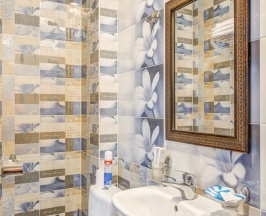 Комфорт двухместный в Nairi