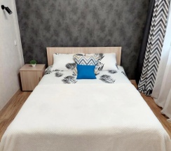 Двухместные апартаменты c 1 комнатой (двуспальная кровать) в Камчатка Суточно на улице Ленинская 67