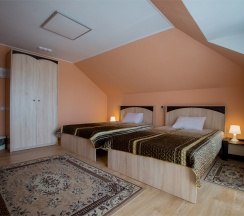 Стандарт ком.№4 в Золотой Лев