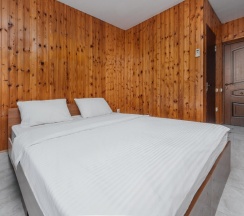 Двухместный номер Comfort двуспальная кровать в Green rent