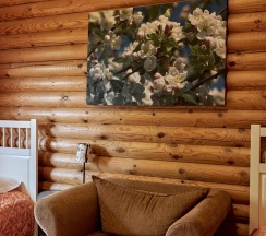 2-местный номер стандарт в Мстинские Горки