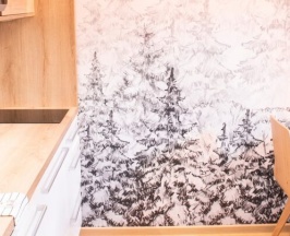 Двухместный номер Superior 2 отдельные кровати в Amenity Resort Spindleruv Mlyn