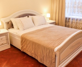 Двухместный стандарт в Пушкин