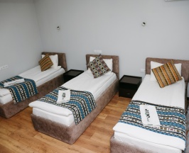 Трёхместный номер Economy в Apple Hostel