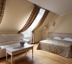 Двухместный полулюкс двуспальная кровать в Кочубей центр