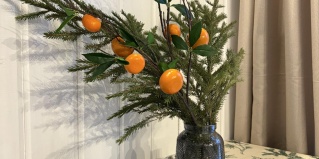 Алёхново: Гостевой дом Хвоя