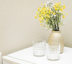 Двухместный номер Deluxe 2 отдельные кровати в Сияние