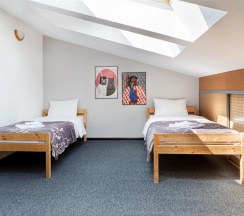 Четырёхместный номер Economy Мансарда в Янка