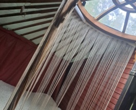 Юрта четырехместная в Золотая юрта