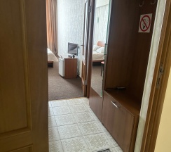 Стандартный двухместный номер в Пингвин