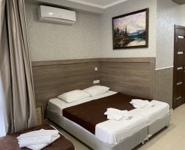 Двухместный номер Superior с балконом и с красивым видом из окна двуспальная кровать в Альтаир