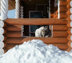 Коттедж в Эдем